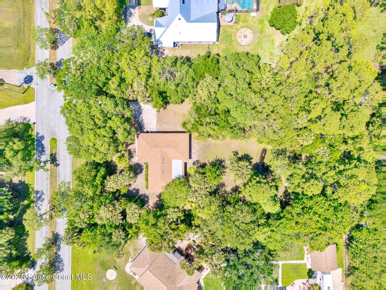 1812 Live Oak Drive - Photo 1