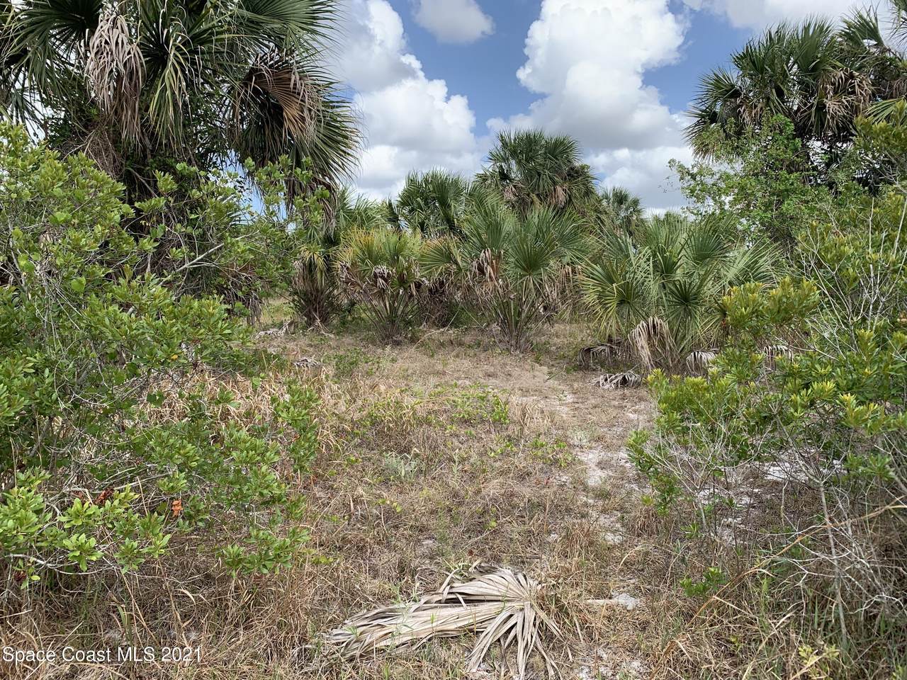 2457 Bolton Avenue - Photo 1