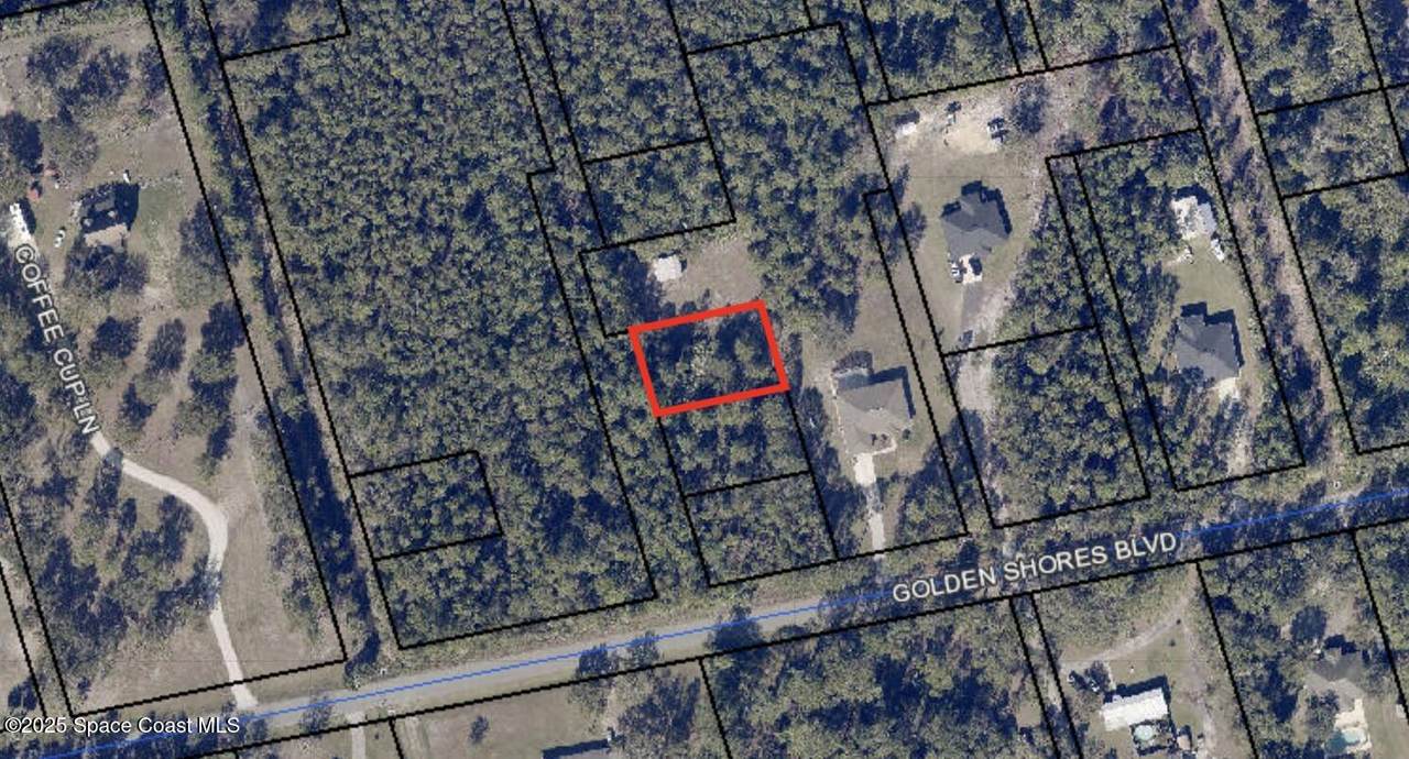 4120 Golden Shores Boulevard - Photo 1