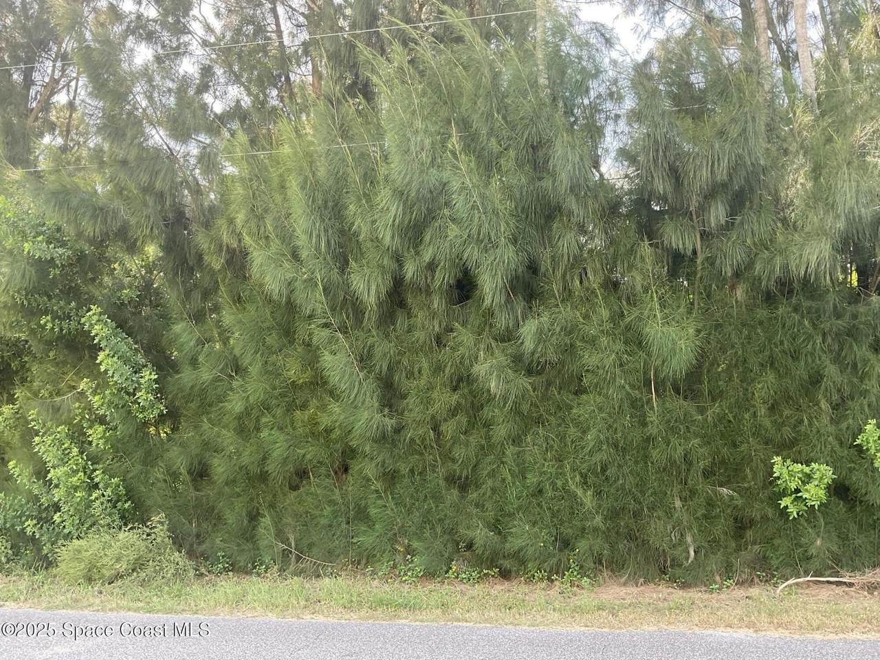 https://bt-photos.global.ssl.fastly.net/spacecoast/1280_boomver_1_1057227-2.jpg