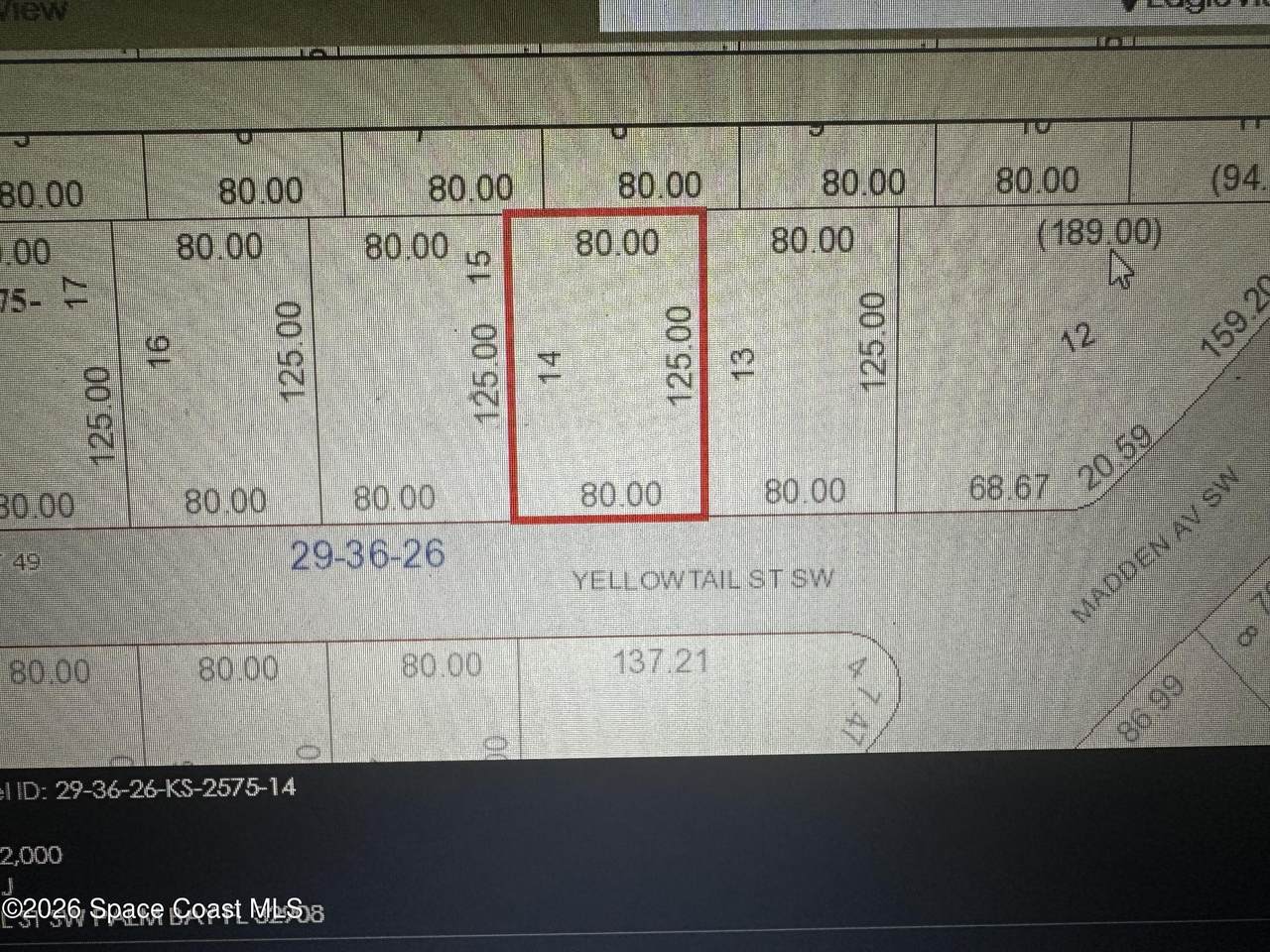 827 Yellowtail Street - Photo 1