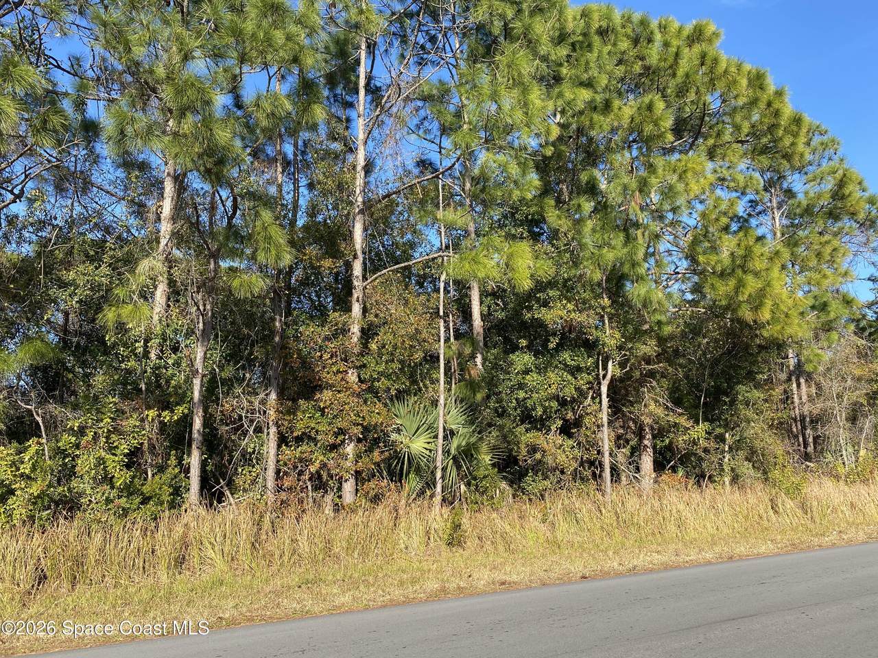 2195 Ramsdale Drive - Photo 1