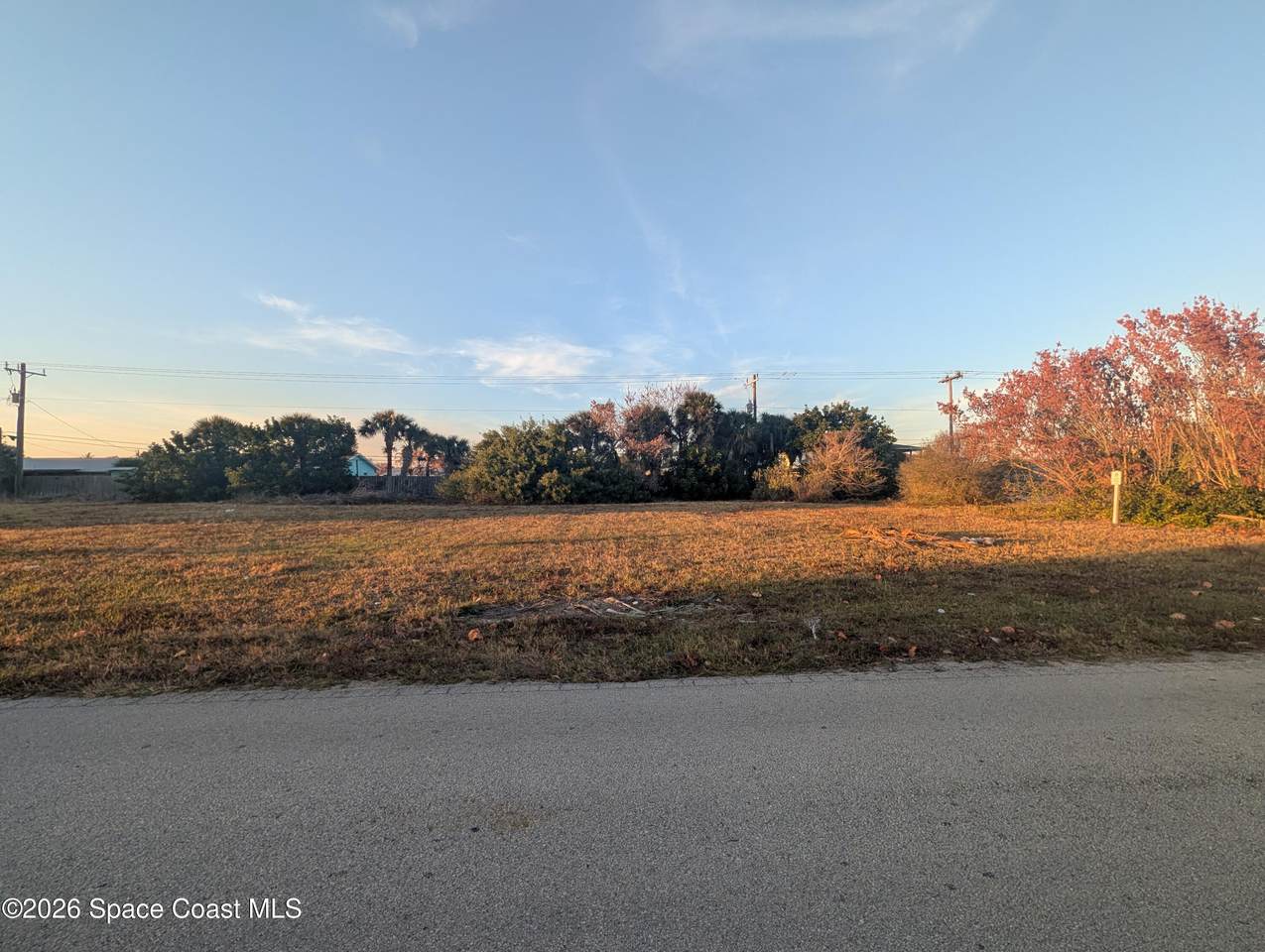 0000 Cassia - Photo 1