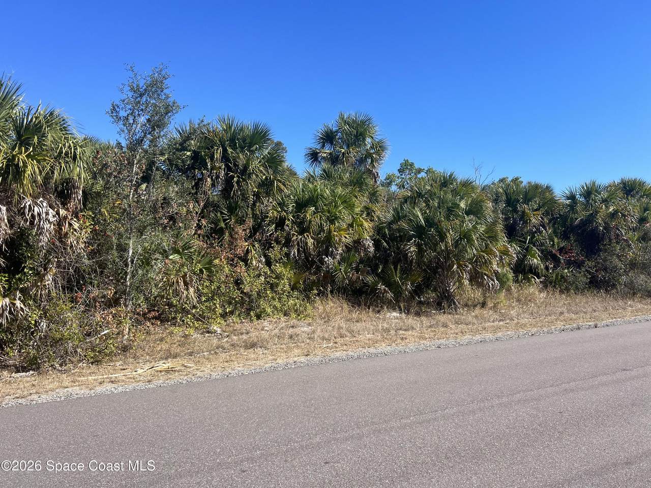 541 La Goy Street - Photo 1