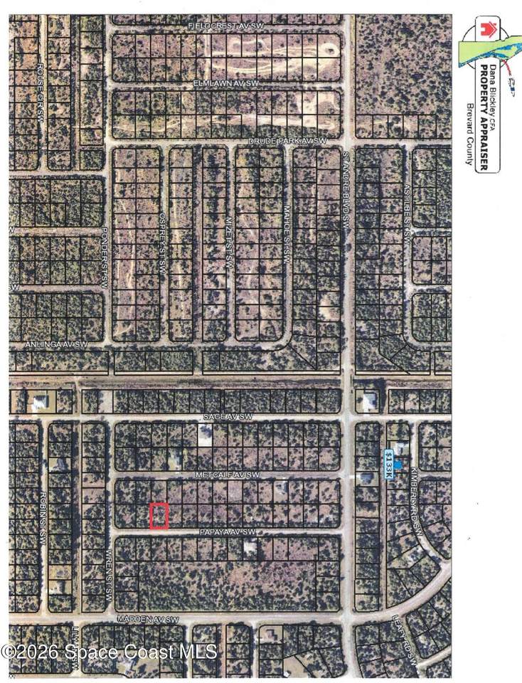 3182 Papaya Avenue - Photo 1