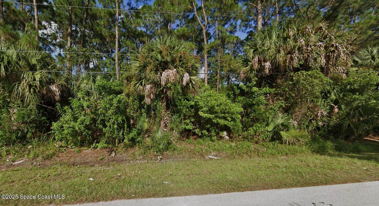 1061 Harlingen Road - Photo 1