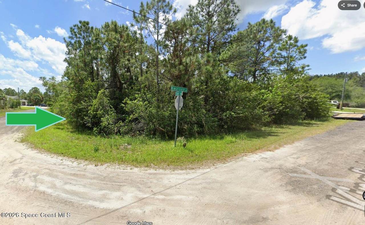 705 Kingfisher Street - Photo 1