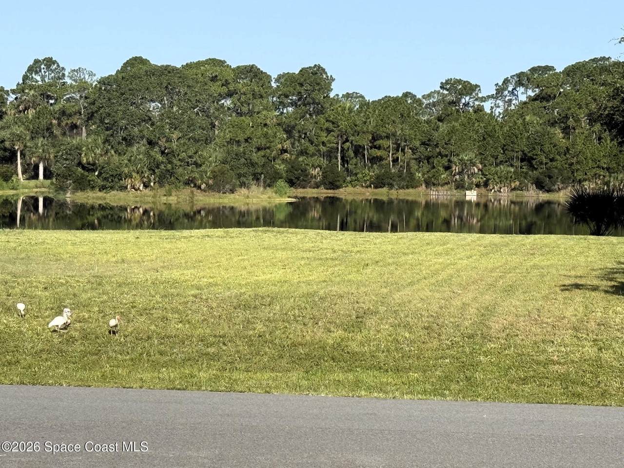 350 Allison Drive - Photo 1