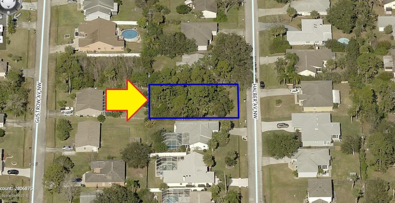 1242 Halber Avenue - Photo 1