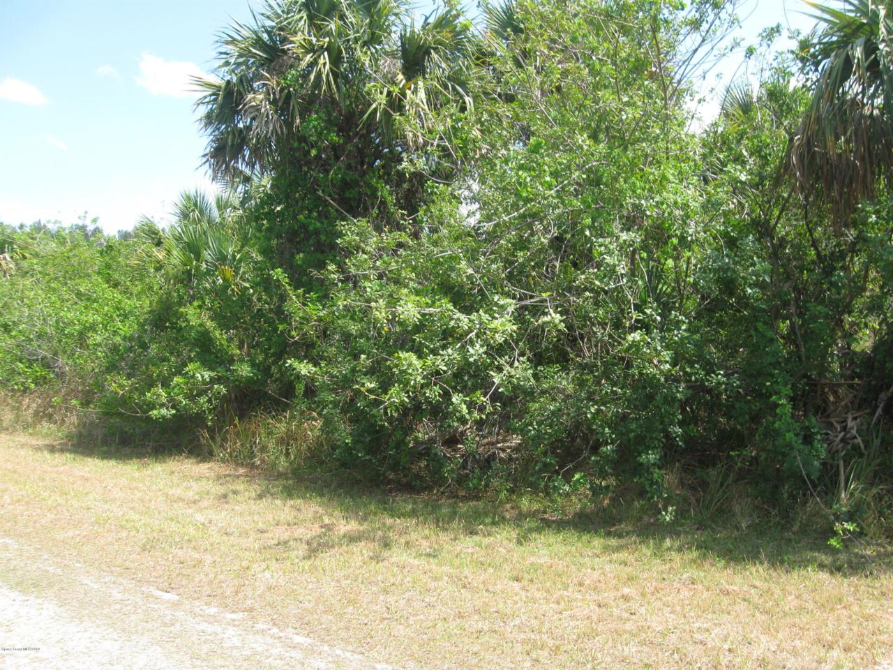 724 Parrotfish Street - Photo 1