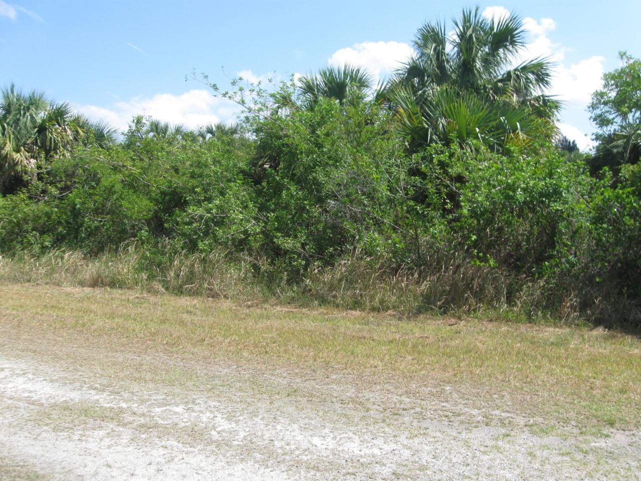 740 Parrotfish Street - Photo 1