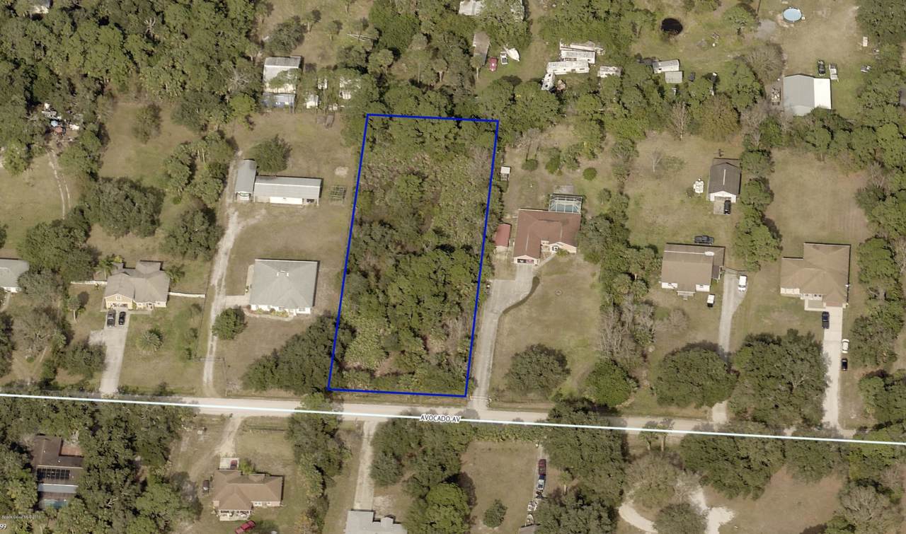 5240 Avocado Avenue - Photo 1