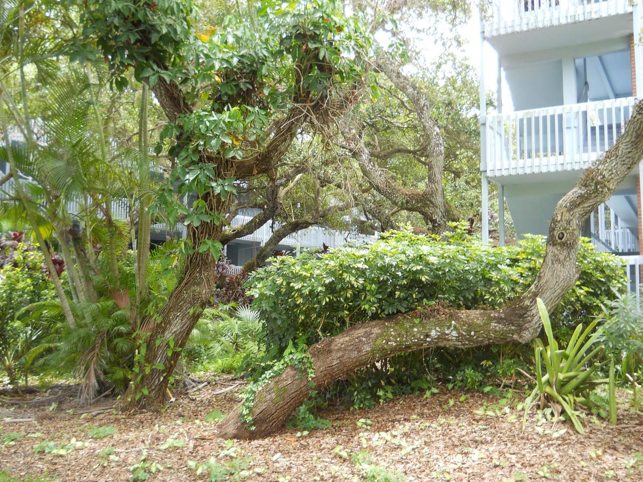 240 Hammock Shore Drive - Photo 1