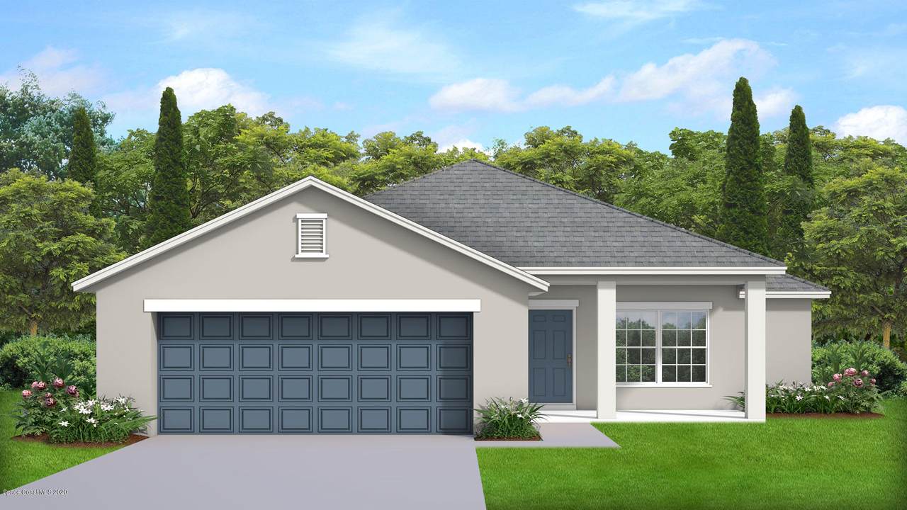 551 Escarole Street - Photo 1