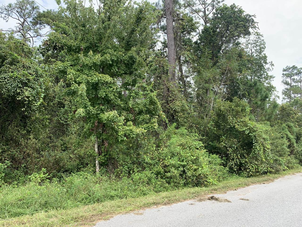 0 Forehand Road - Photo 1