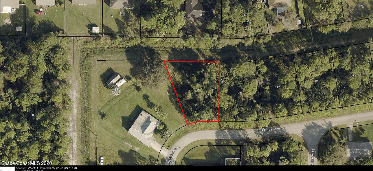311 Courtney Street - Photo 1