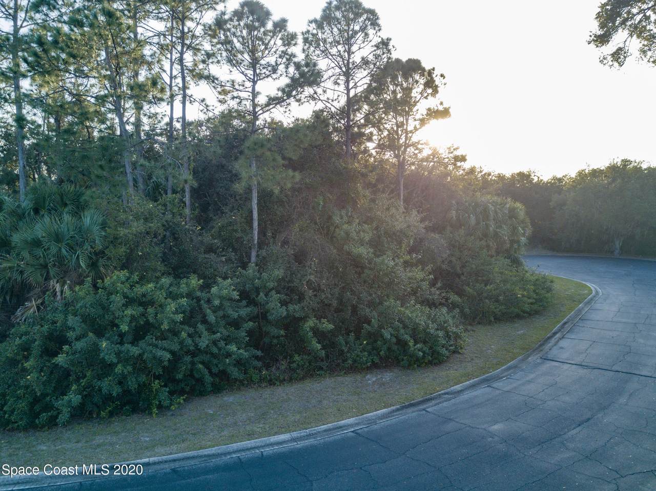 2671 Sussana Lane - Photo 1