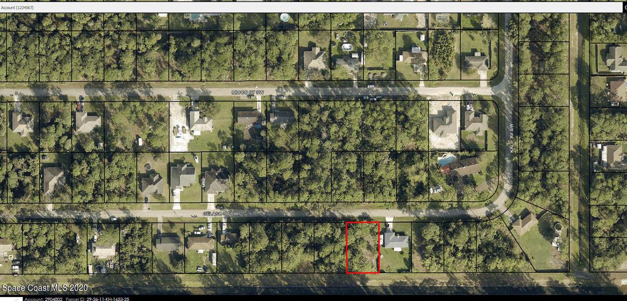 728 Gelaso Street - Photo 1