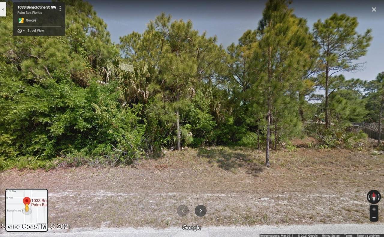 1033 Benedictine Street - Photo 1