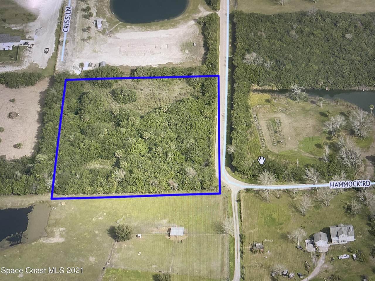 000 Hammock Road - Photo 1