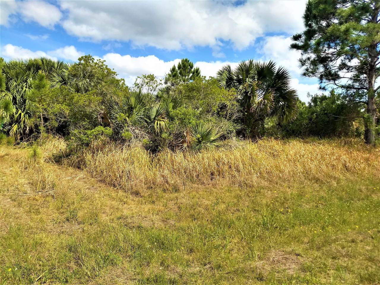 496 Frost Road - Photo 1