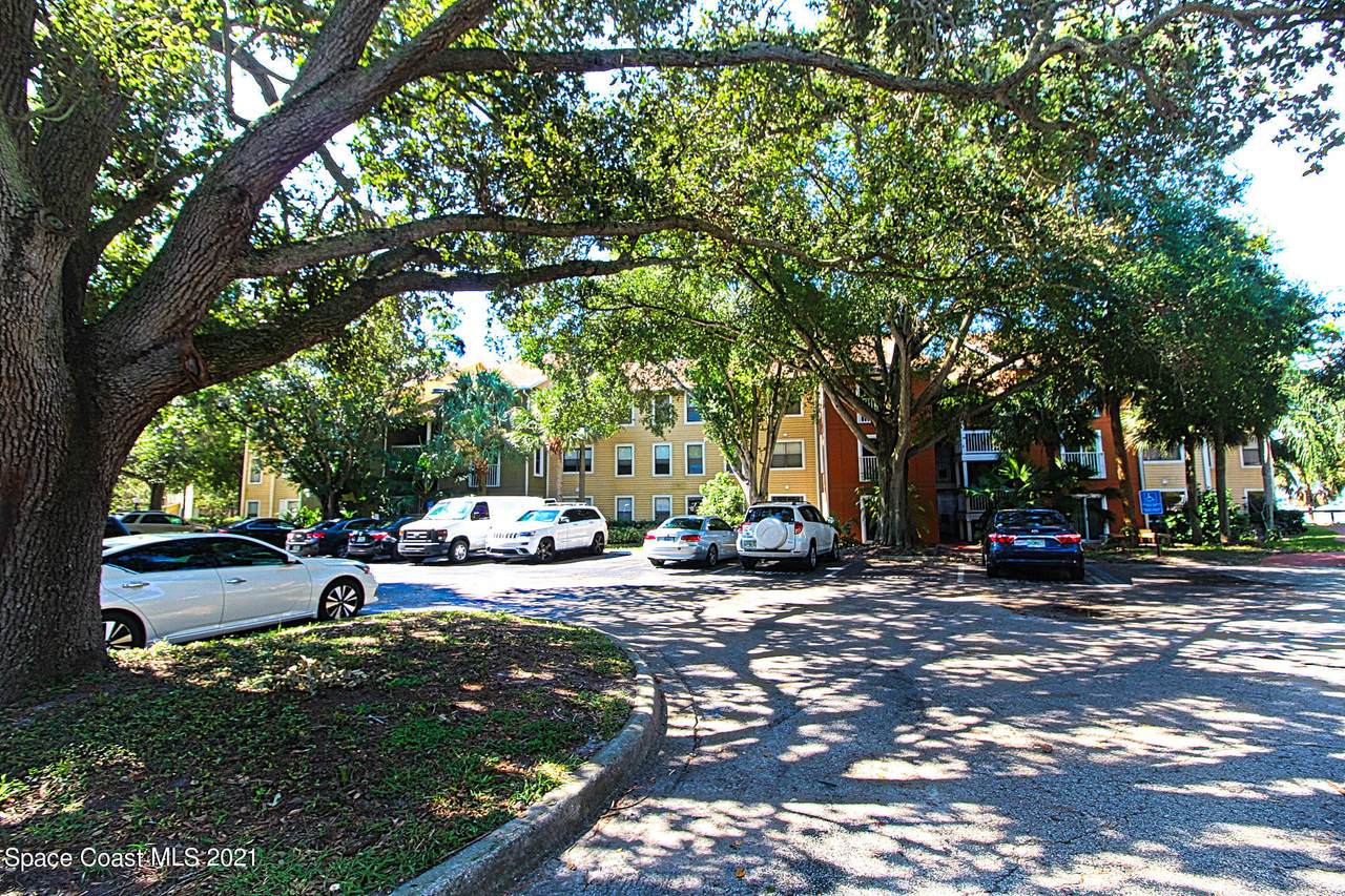 225 Tropical Trl - Photo 1