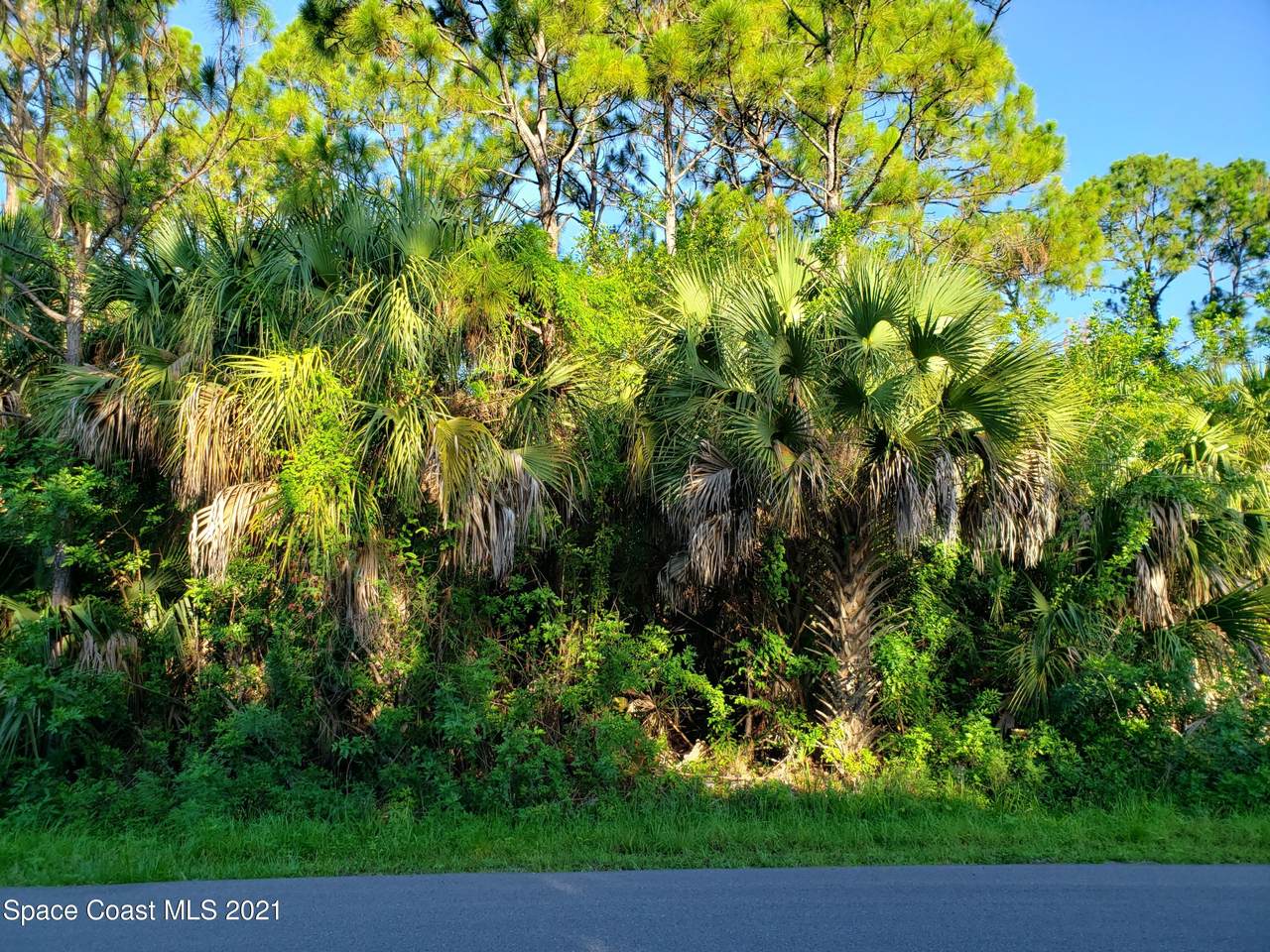 369 Cherry Tree Circle - Photo 1