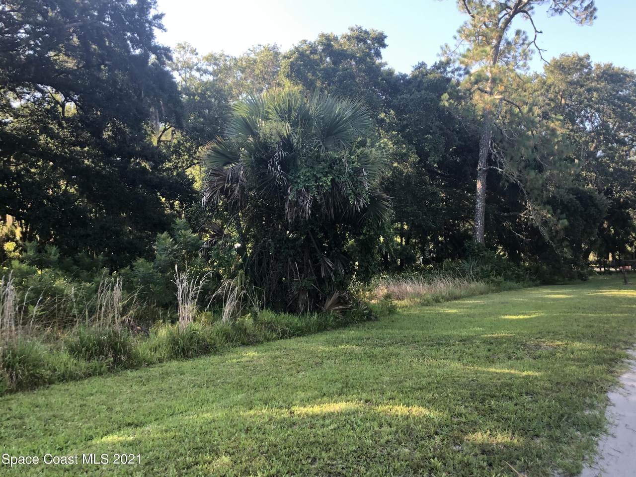 4659 Shady Oaks Lane - Photo 1