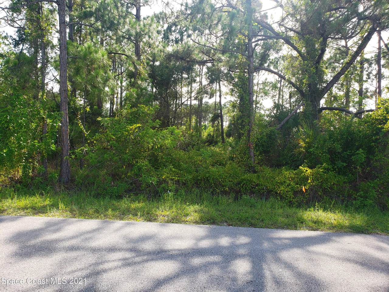 1049&1063 San Rafael Road - Photo 1