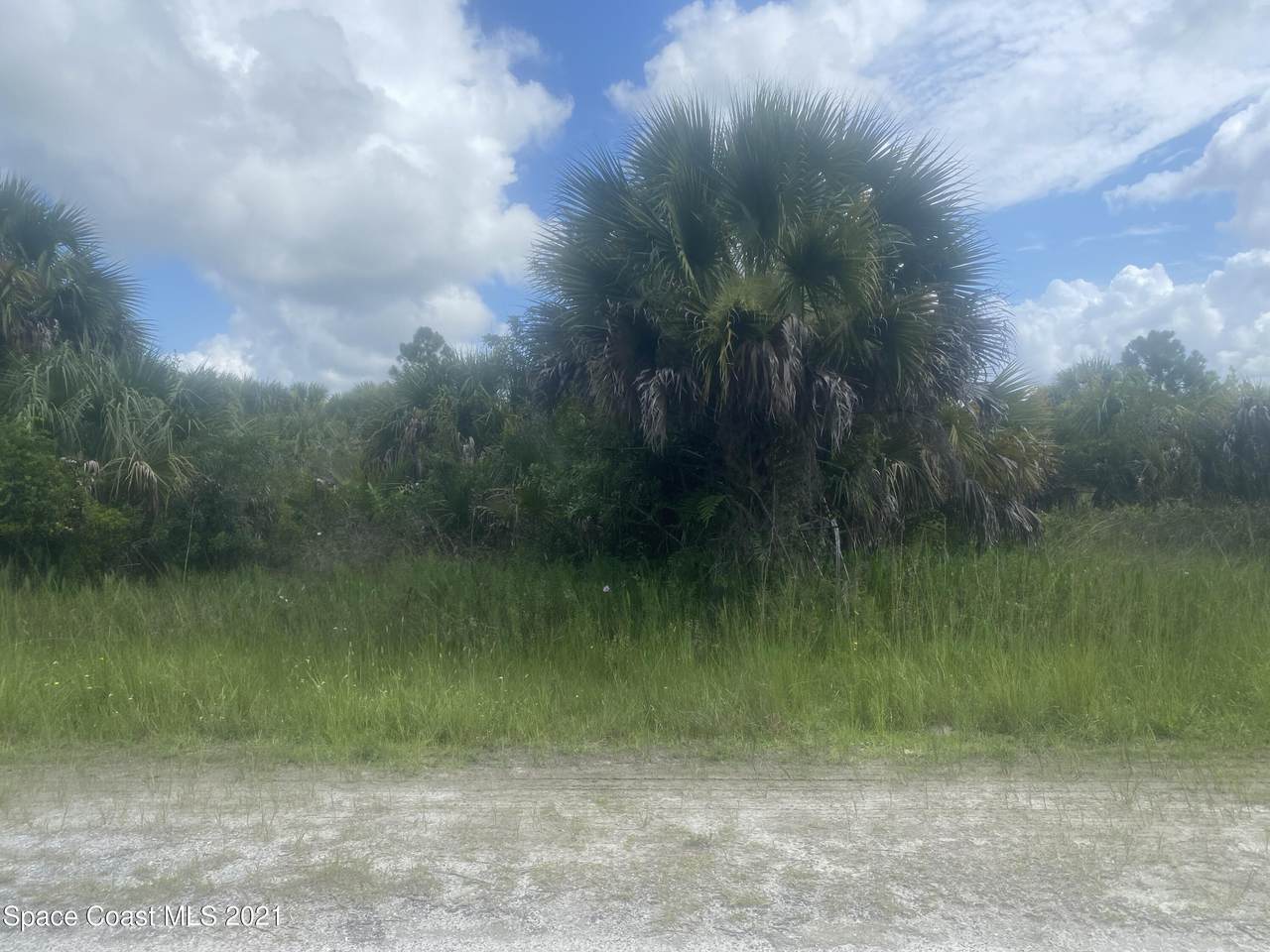 533 Forrest Hills Street - Photo 1