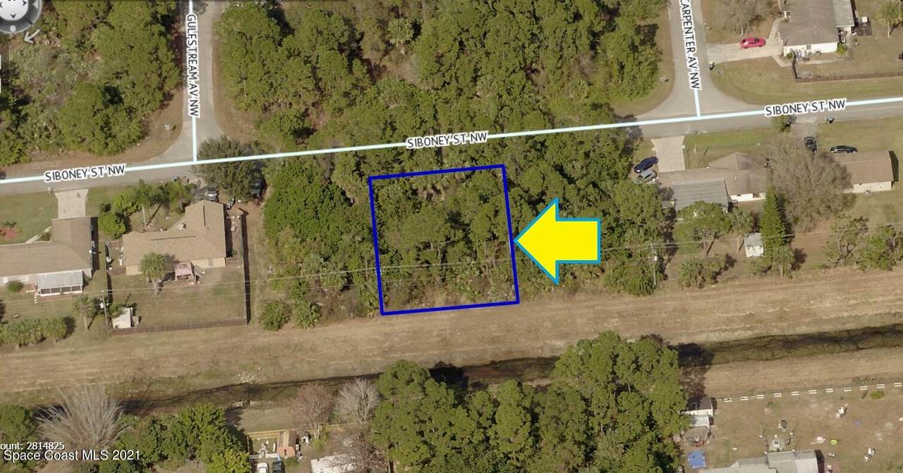 1042 Siboney Street - Photo 1