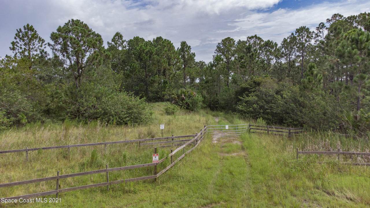 10061 Blackberry Road - Photo 1