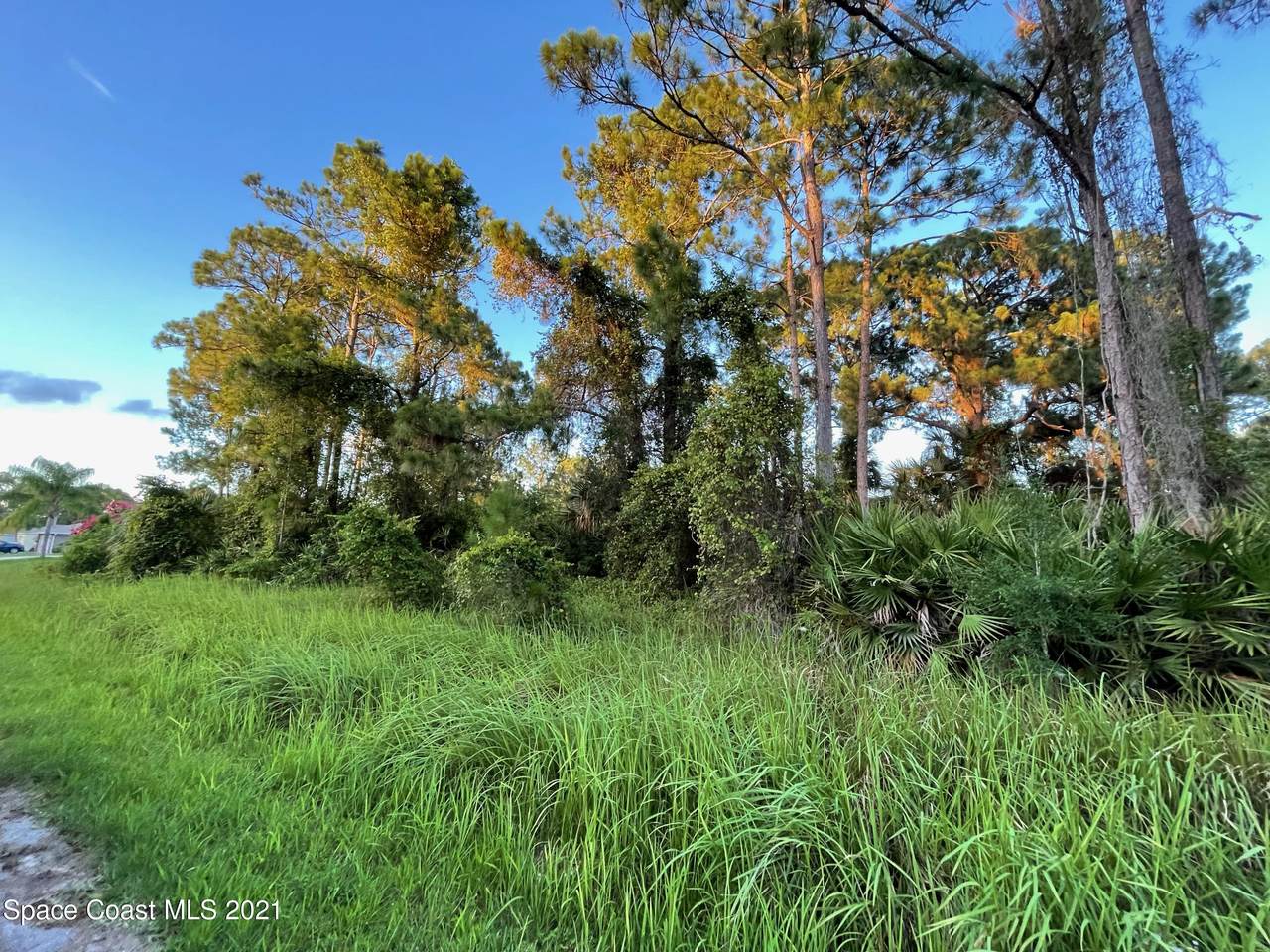 779 Genevo Avenue - Photo 1
