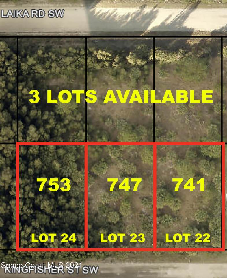 753 Kingfisher Street - Photo 1