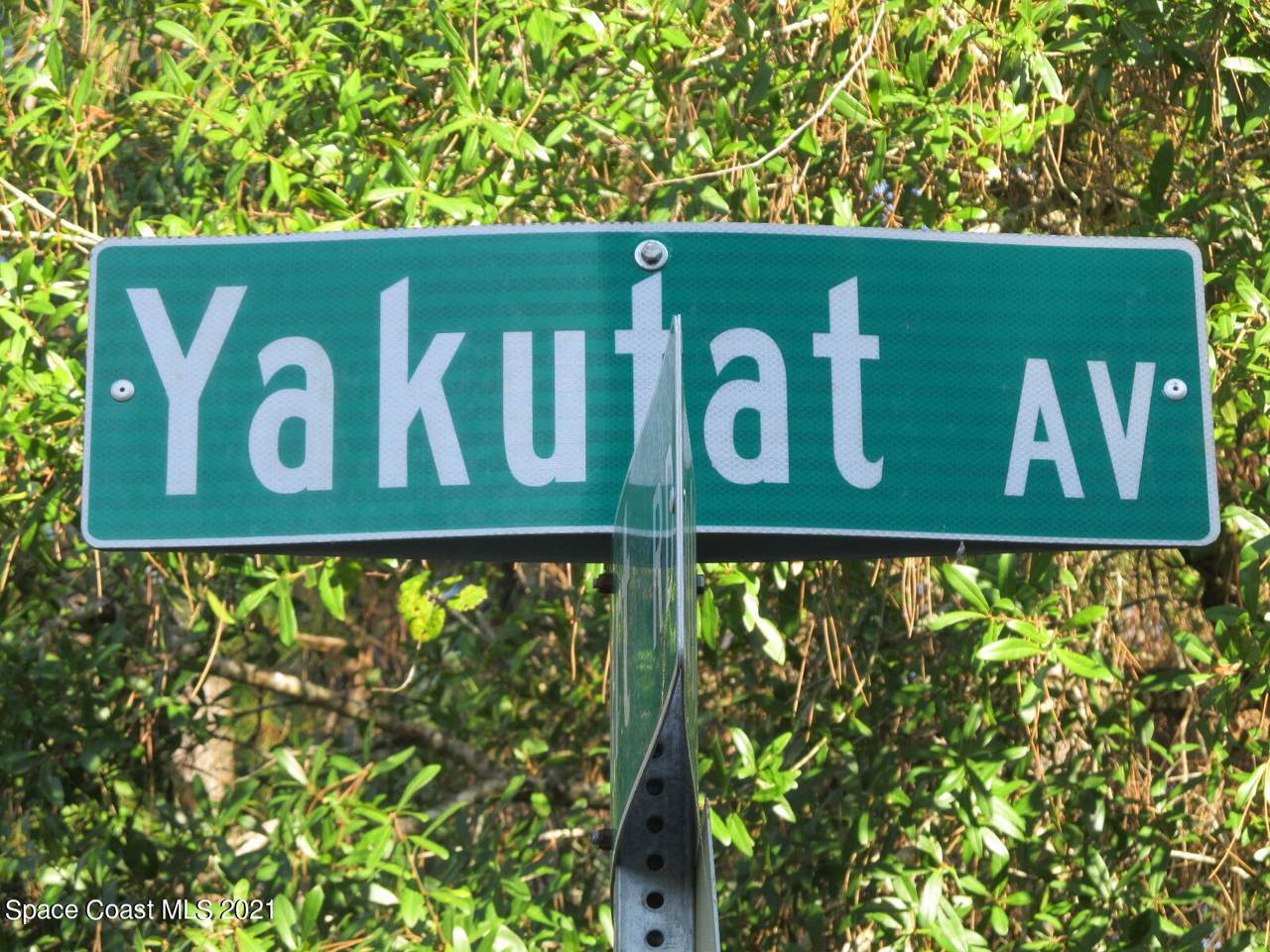 1044 Yakutat Avenue - Photo 1