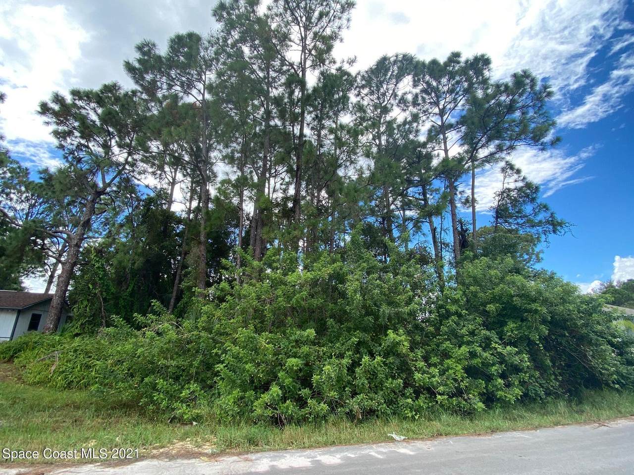 790 Avalon Street - Photo 1