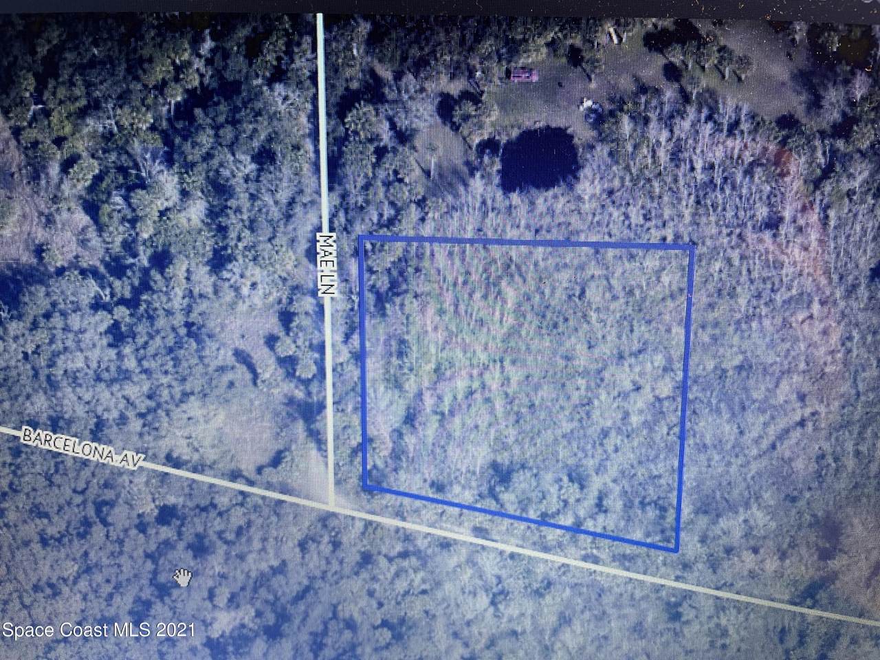 000 Barcelona Avenue - Photo 1