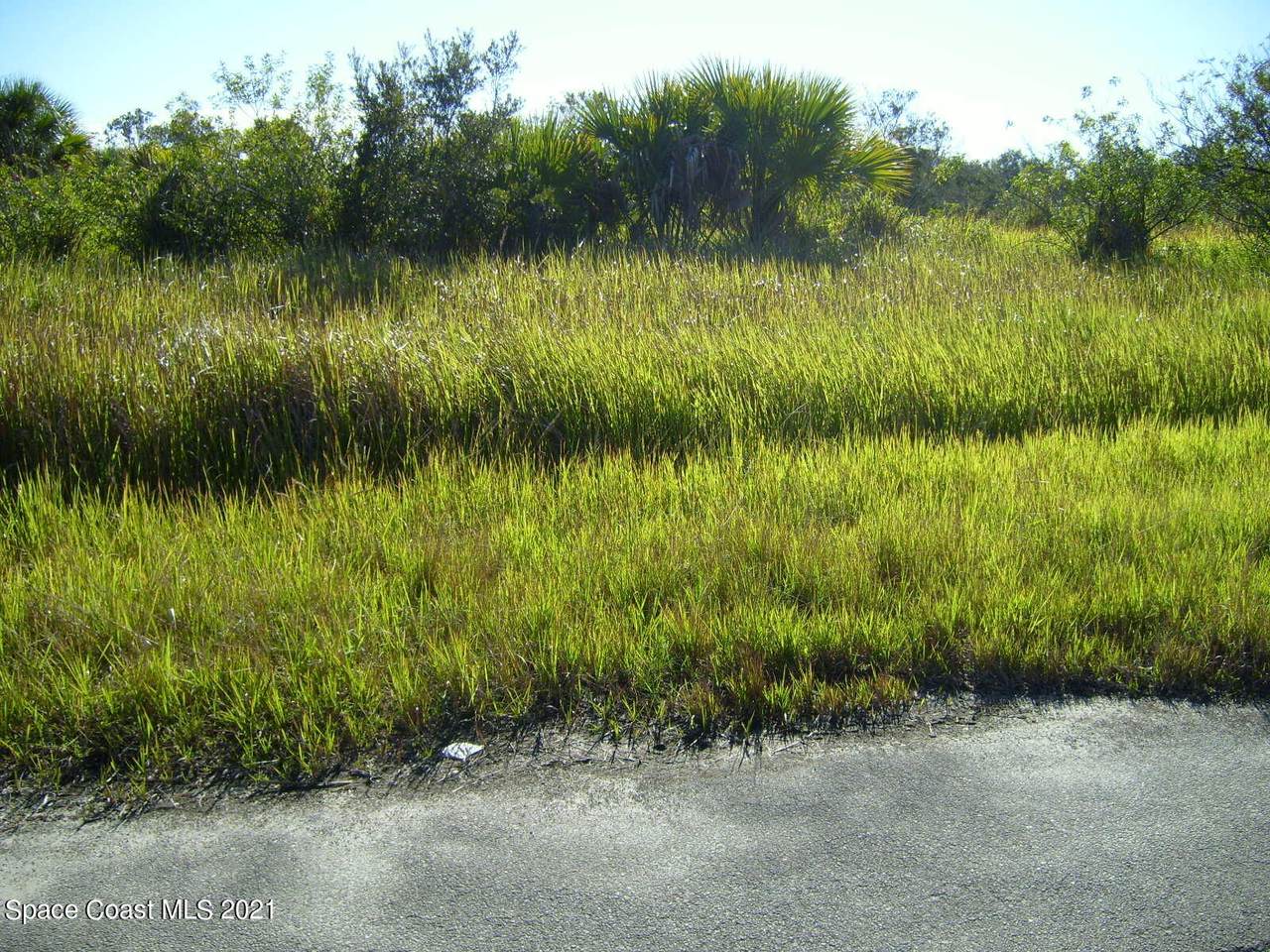 2662 Wingham Drive - Photo 1