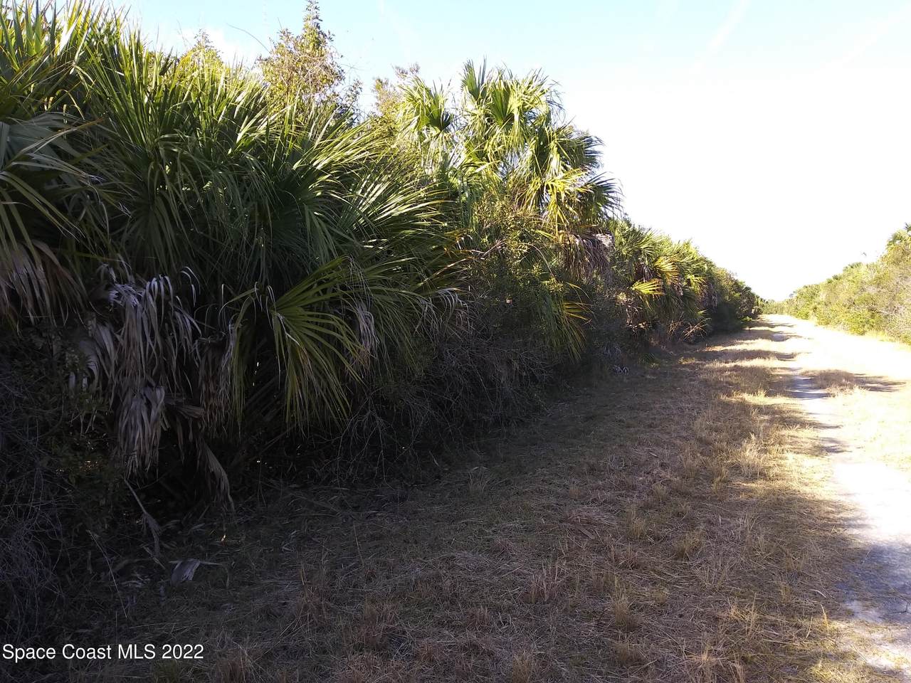 2002 Goodreau Avenue - Photo 1