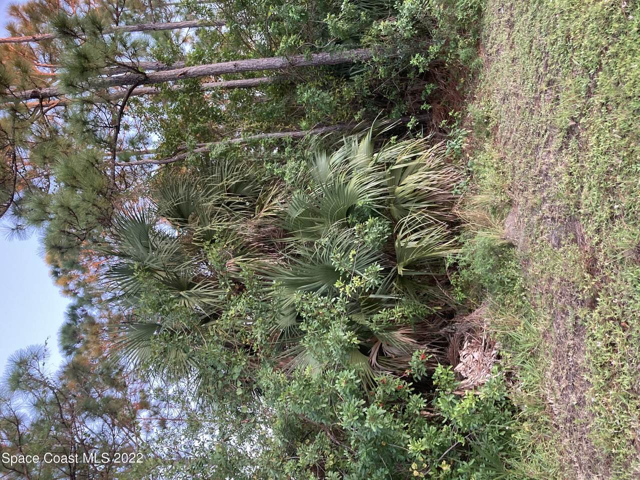 119 Gates Street - Photo 1