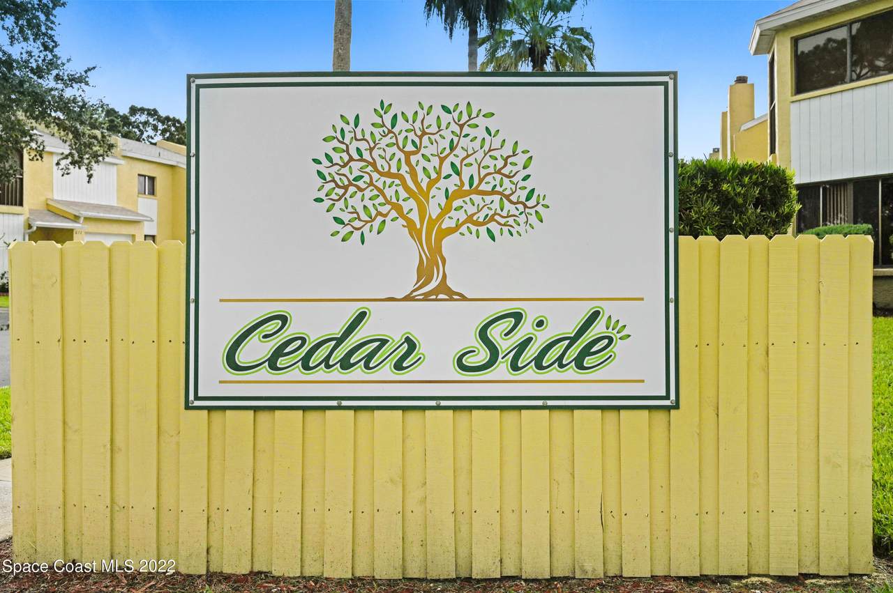 672 Cedar Side Circle - Photo 1