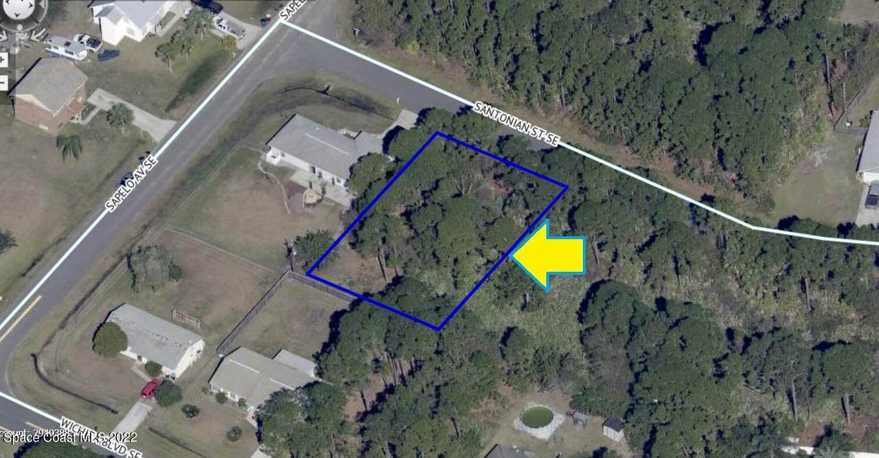 1536 Santonian Street - Photo 1
