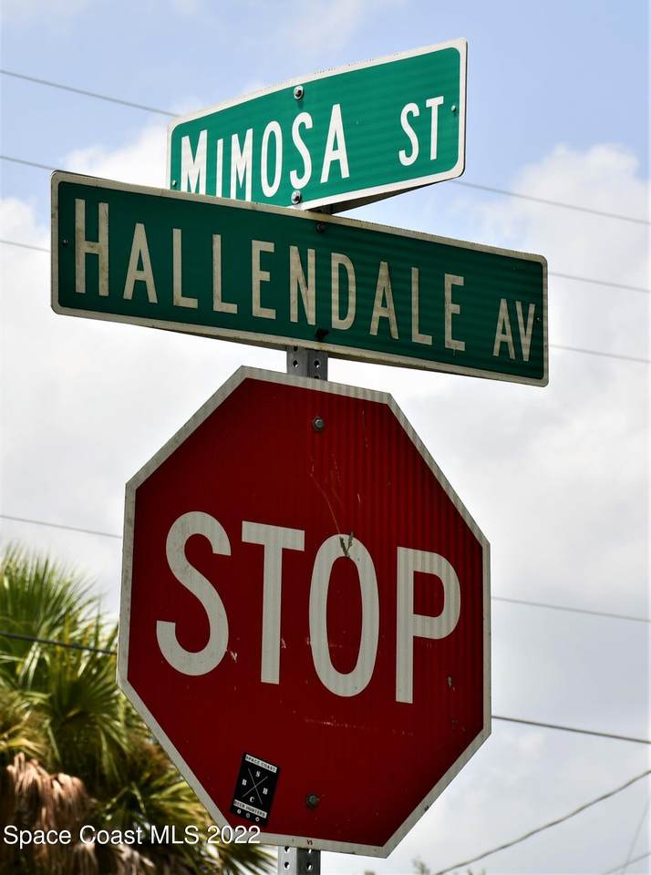 599 Mimosa Street - Photo 1