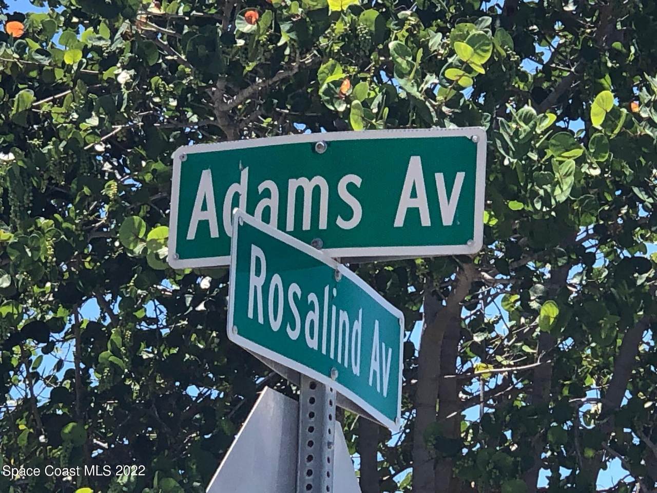 0000 Rosalind Avenue - Photo 1