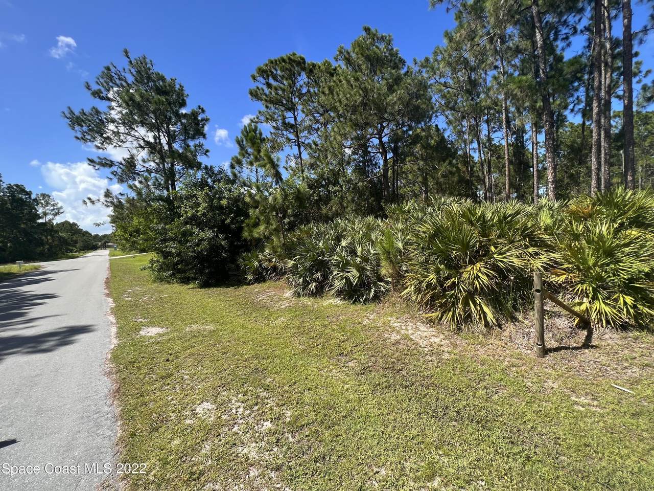 1165 Sexton Road - Photo 1