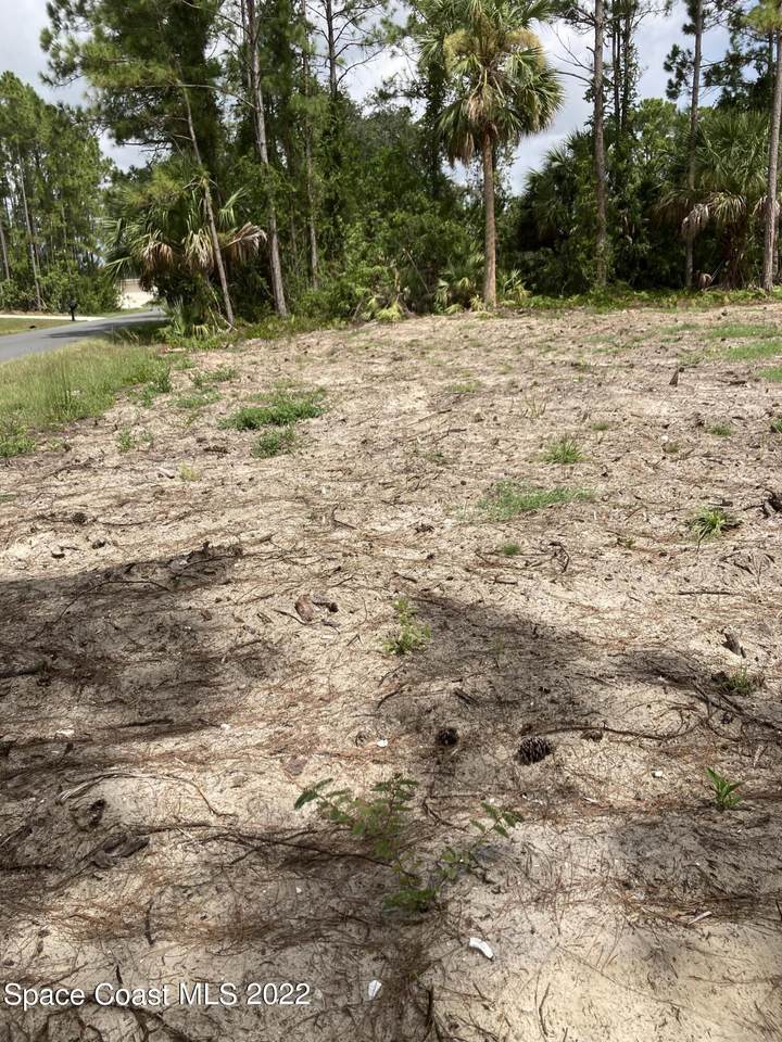2619 Tolman Avenue - Photo 1
