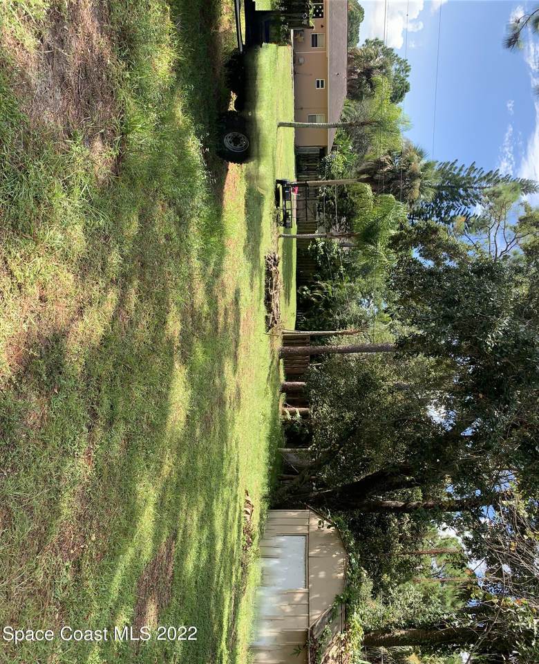 556 Plumbago Road - Photo 1