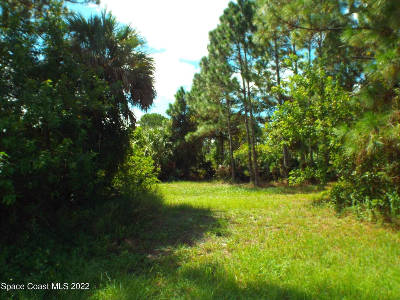 384 Dailey Street - Photo 1