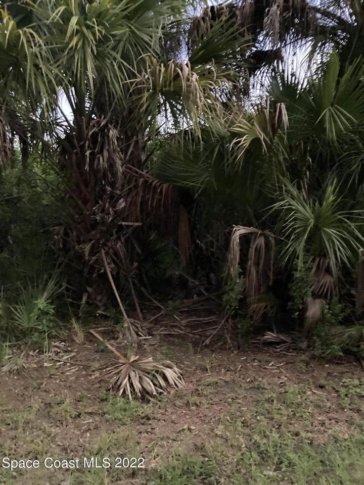 512 Lambert Street - Photo 1