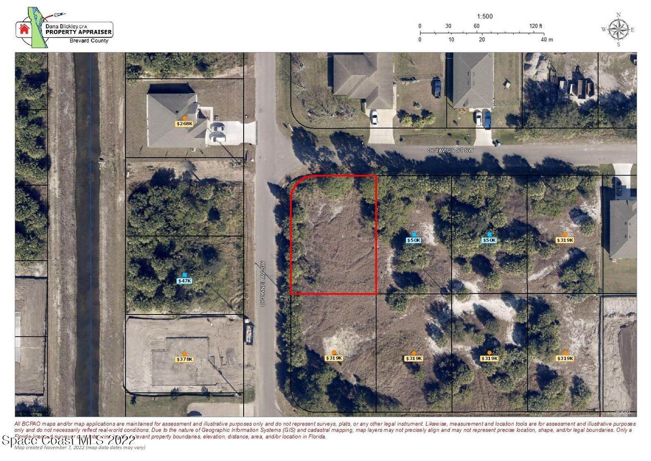 596 Octavius Road - Photo 1